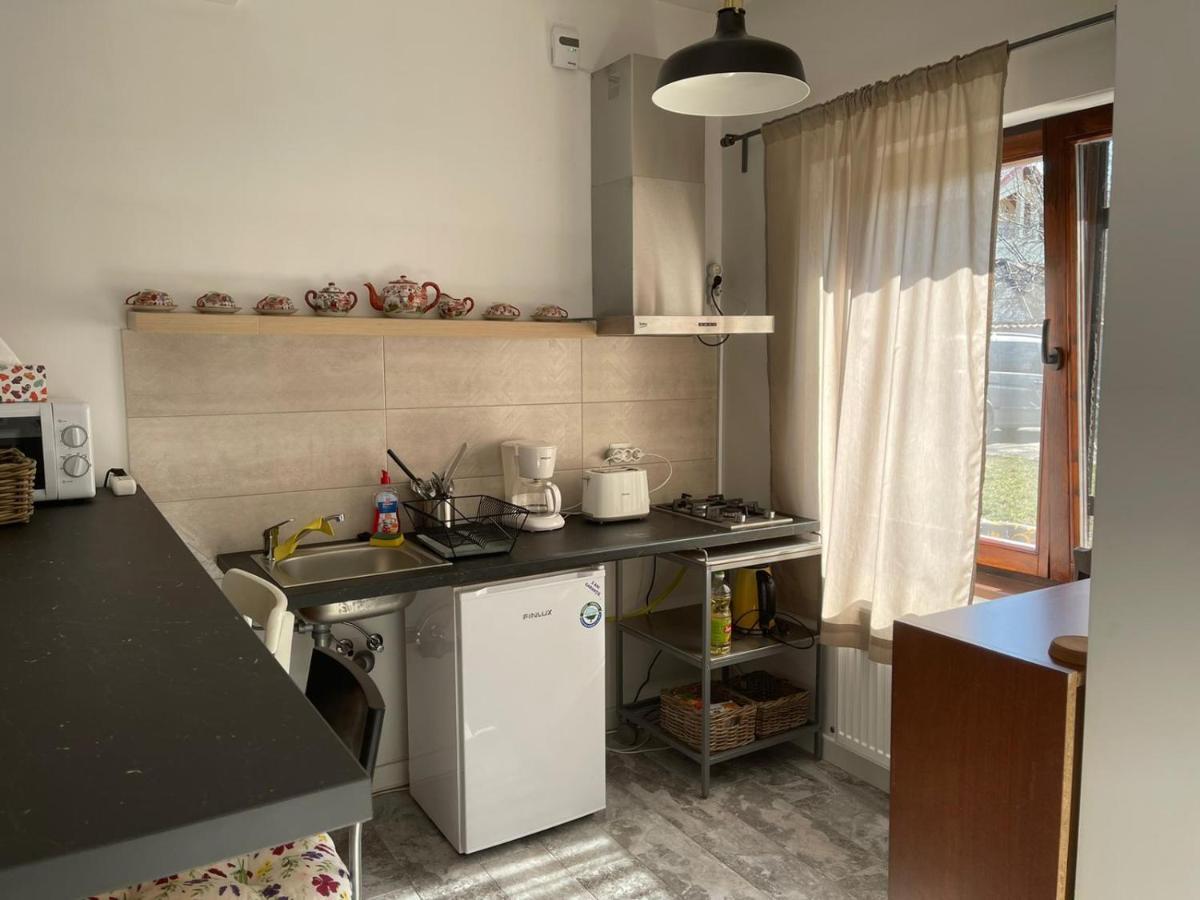 Tinamore Otopeni Exteriör bild